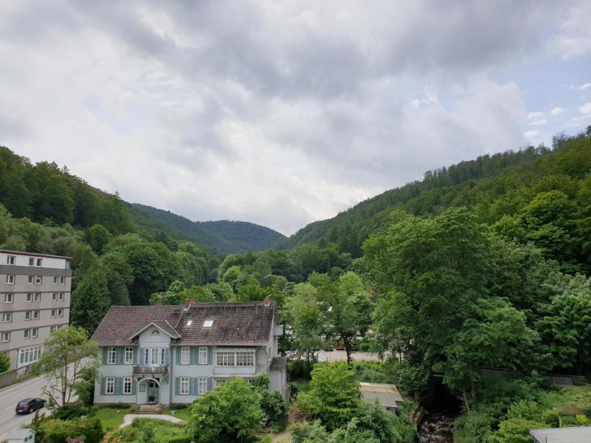 Apartz - Bad Harzburg - Apartment Mit Sauna In Idealer Lage Mit Bergblick エクステリア 写真